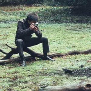 PLEASANT NIGHT (lômi)